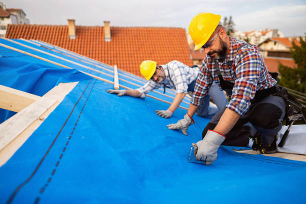 Best Metal Roofing Contractor  in East Bronson, FL