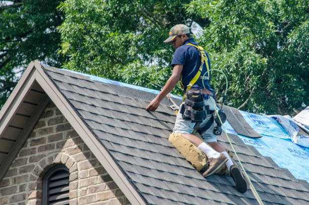 Quick and Trustworthy Emergency Roof Repair Services in East Bronson, FL